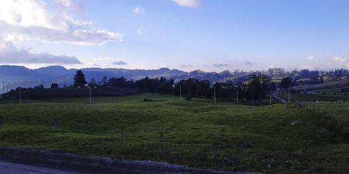 Scenic view of field against sky