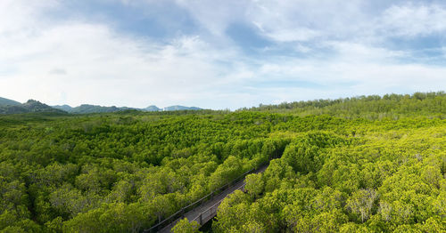 Scenic view of landscape against sky