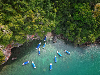 High angle view of people swimming in sea