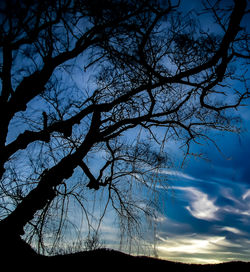 Low angle view of silhouette bare tree against sky at sunset