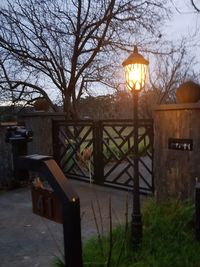 Illuminated lantern by bare tree against sky