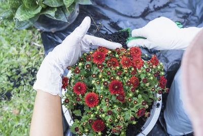 Midsection of woman holding potted plant