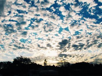 Low angle view of silhouette trees against sky