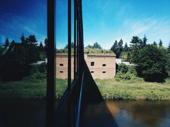 View of trees against blue sky