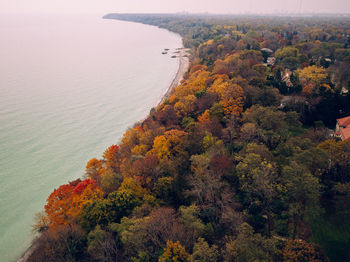 High angle view of trees by sea during autumn