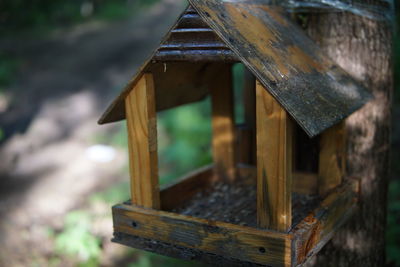 Close-up of birdhouse on tree trunk