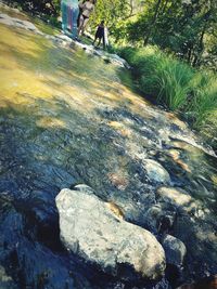 Water flowing in sunlight