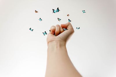 Digital composite image of person catching butterflies against white background