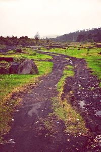 Dirt road passing through grassy field