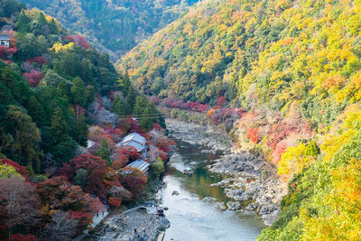 High angle view of river amidst trees in forest during autumn