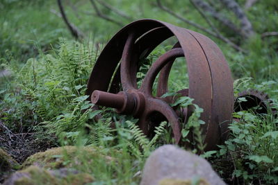 Close-up of rusty plant on field