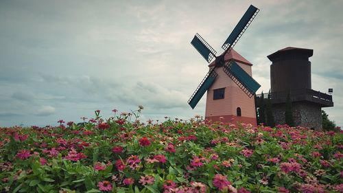Pink flowers in field against cloudy sky