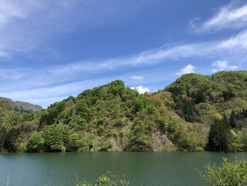 Scenic view of lake by trees against sky