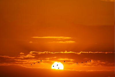 Beautiful sunset and silhouette birds flying red white cloud and orange yellow gold sky