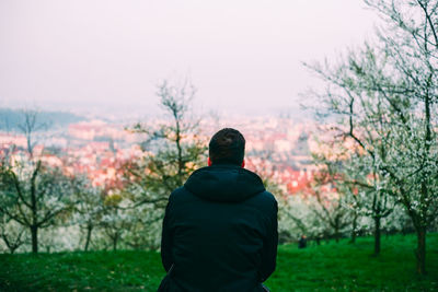 Rear view of man in park against sky during sunset