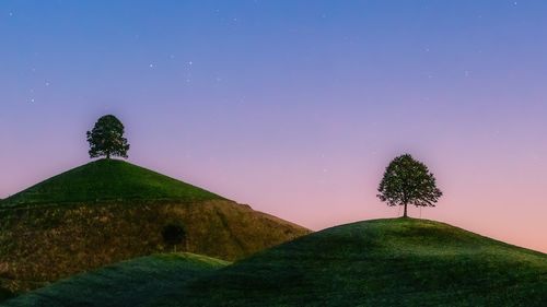 Trees on field against clear sky at night