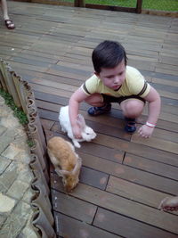 High angle view of baby playing with dog