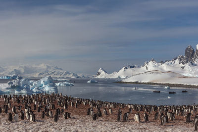 Scenic view of frozen lake against sky