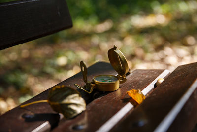 Close-up of wooden bench