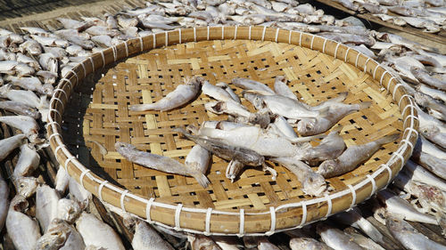 High angle view of fish in basket