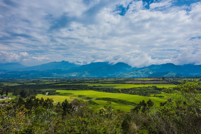 Scenic view of vineyard against cloudy sky