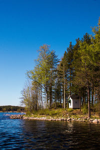 Scenic view of trees and building against blue sky