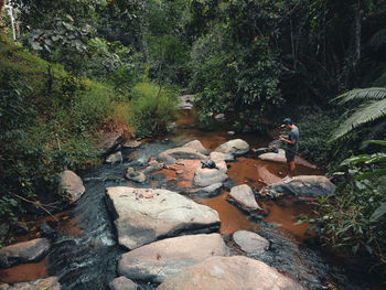 People walking on rocks in forest