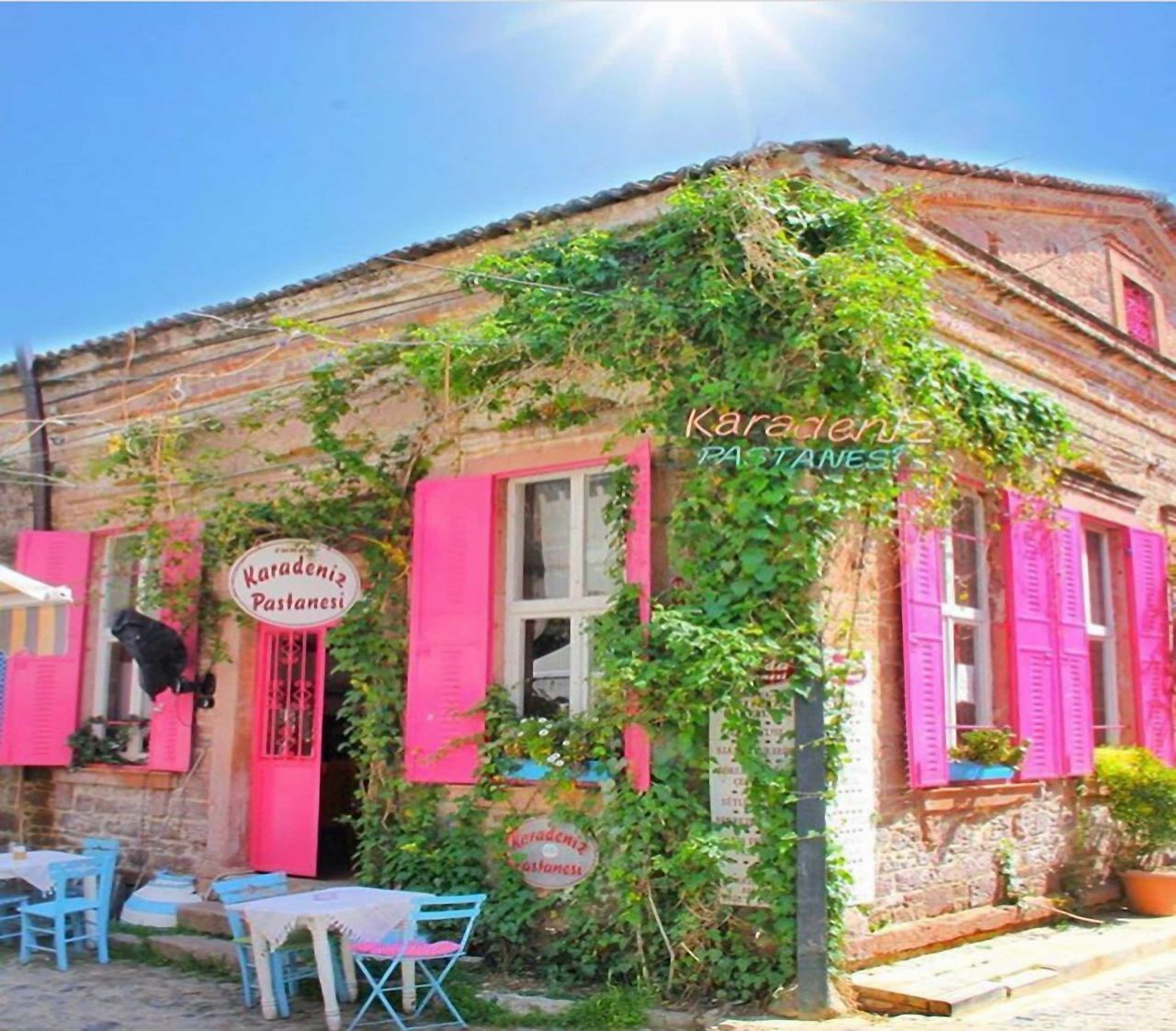 VIEW OF HOUSE AND PLANTS