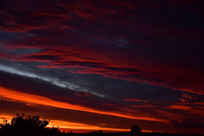 Silhouette trees against dramatic sky during sunset