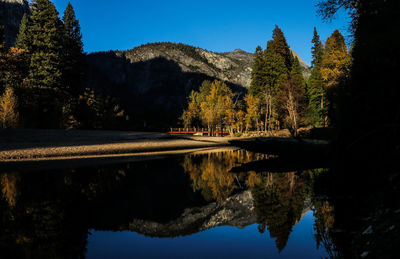 Scenic view of lake by trees against clear blue sky