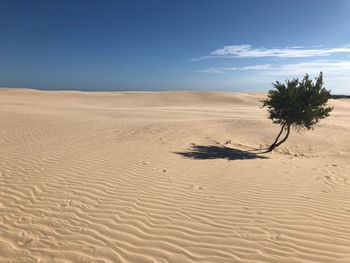 Scenic view of desert against sky