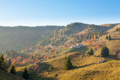 Scenic view of landscape against clear sky during autumn