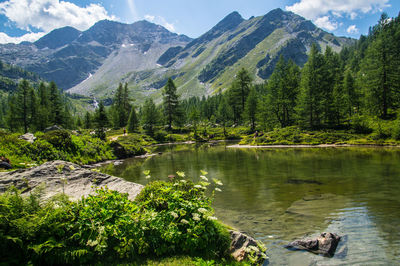 Lake of arpy in val aoste in italy