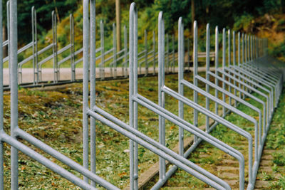 Close-up of snake on grass