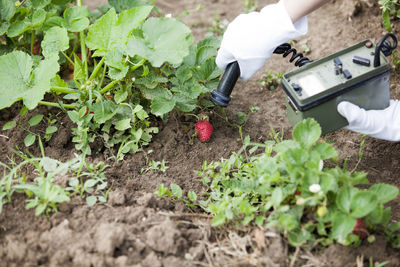 Midsection of person holding plant in farm