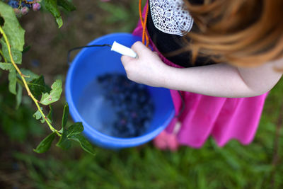 Midsection of girl picking blueberries in bucket at park