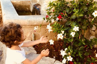 Rear view of woman holding white flowering plants