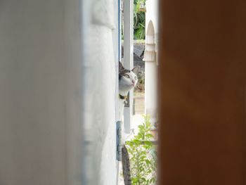 Midsection of woman on wall