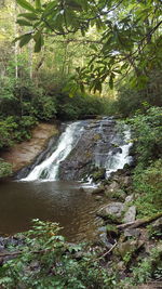 Scenic view of waterfall in forest