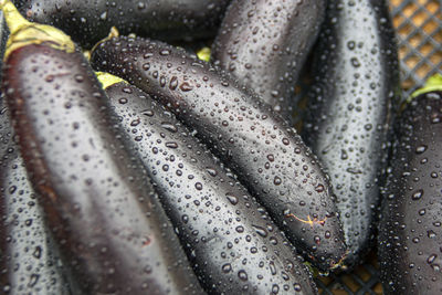 Close-up of raindrops on windshield