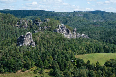 Scenic view of forest against sky