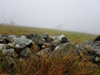 Rocks on field against sky