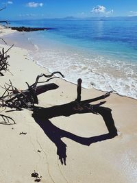 Shadow of tree on beach
