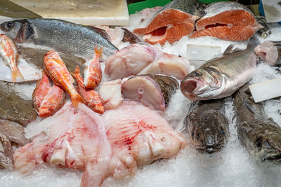 Close-up of seafood for sale in market
