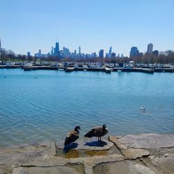 View of city by river against clear sky