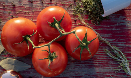 High angle view of tomatoes on table