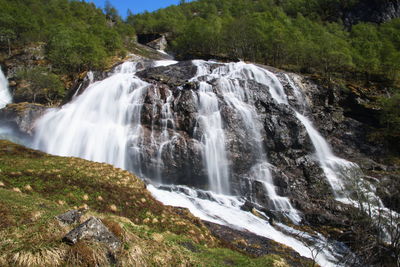 Scenic view of waterfall in forest