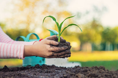 Cropped hand holding plant