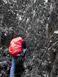 Rear view of woman standing by trees in forest