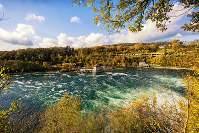 View of river passing through forest